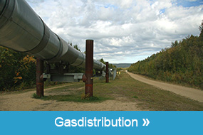 gasdistribution.jpg